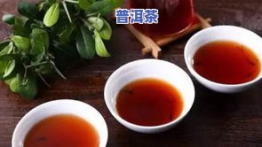 普洱茶：功效、生熟比较、价格全解析