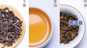 普洱茶详解-永年九九普洱茶详解