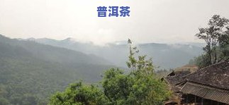 普洱茶的6大山头：详解排名及特点