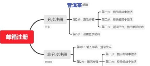 全面解析：茶叶的生理作用与功能