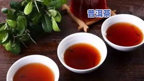 肥胖者适合饮用普洱生茶还是熟茶？哪种更有利于减肥？