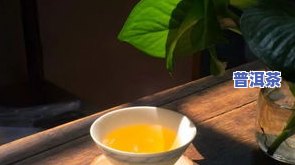 天天喝茶叶能减肥吗-茶叶能减肥吗天天喝茶叶能减肥吗