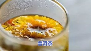 一斤茶叶天天喝能喝多久？每日饮用次数与浸泡次数解析