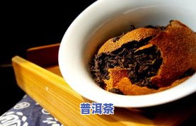 广东陈皮普洱茶大全：排名、推荐与评价