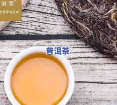 普洱草和普洱茶-普洱草和普洱茶的区别