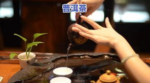 普洱茶为何有怪味？揭开其独特口感的秘密