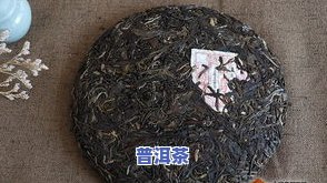 一级普洱茶价格是多少？多少钱一斤？详细解析