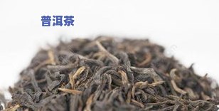 普洱茶龙骨价格及图片欣赏-普洱茶龙骨价格及图片欣赏大全