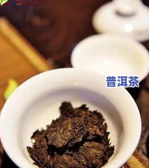 普洱茶虫草-普洱茶泡虫草