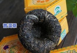 云南大雪山普洱茶价格及品质介绍