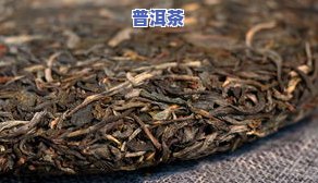 大雪山普洱茶：特点、口感与功效全解析