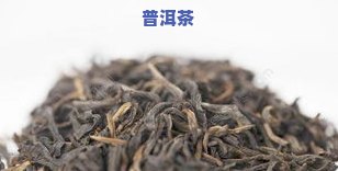 青衫普洱茶图片-青衫普洱茶图片大全