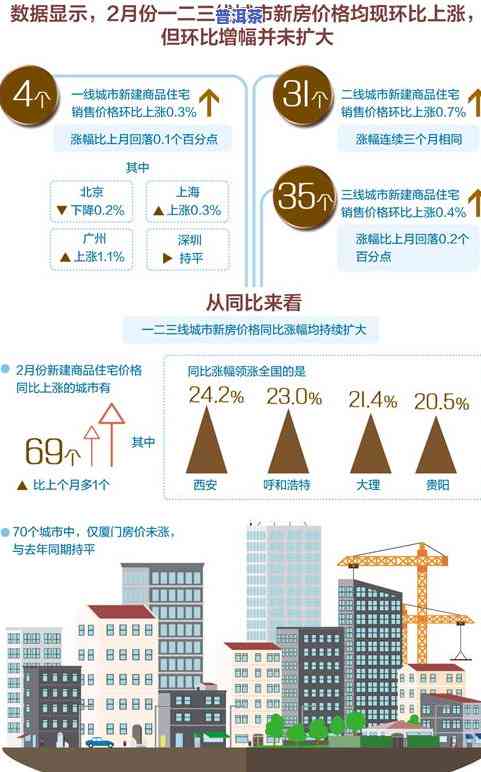 福建普洱茶价格行情全揭秘：排行榜及泉州市场解析