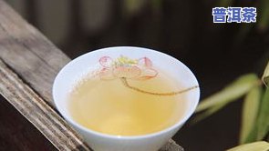 普洱茶新茶没味道正常吗？正确冲泡方法分享