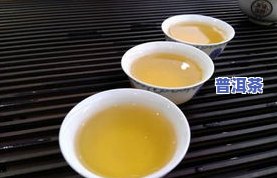 普洱茶新茶没味道正常吗？正确冲泡方法分享