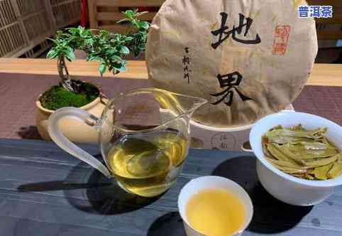 源头茶厂普洱茶-源头茶厂普洱茶价格