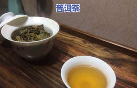 冰岛普洱茶买哪个牌子好喝？推荐与评价