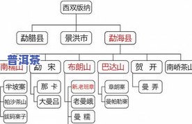 探究冰岛普洱茶的独特卖点：口感、品质与健康益处