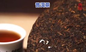 普洱茶发酵工程-普洱茶发酵工程设计