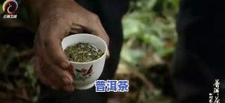 探索普洱茶文化：时光在吟唱的纪录片