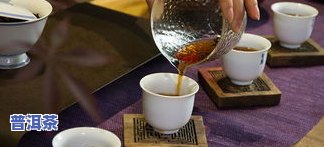 勇士普洱茶视频讲解大全：深入理解普洱茶的独特魅力