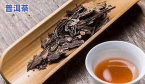 普洱茶“武侯遗种”的传说-普洱茶“武侯遗种”的传说