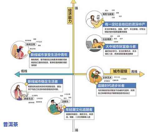 深度解析：茶叶的用户群体及其消费行为分析