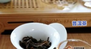 普洱茶1301，探索普洱茶的世界：熟悉1301年普洱茶的历史与文化