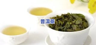 南美森林普洱茶价格表与图片全览