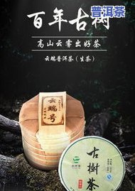 最新云普天下普洱茶价格表及查询，一网打尽！