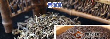 普洱茶游学-普洱茶游学2023年4月