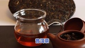 普洱茶锅温：掌控温度的艺术，避免叶温过高