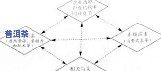 普洱茶转化曲线：含义、特点及影响因素