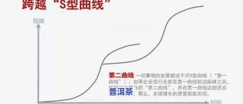 普洱茶转化曲线：含义、特点及影响因素