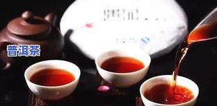 云南普洱茶的历史简短介绍-云南普洱茶的历史简短介绍图片