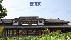 建阳茶叶：品质、场、公司及品种全解析