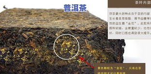 茶叶里面长虫了能喝吗？有无害及影响解析