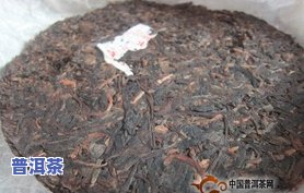 冰岛普洱茶：产地、品种与特点全解析