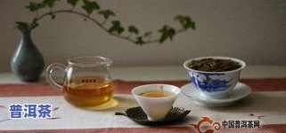 普洱茶的配料是什么？了解其由来、口感与含义