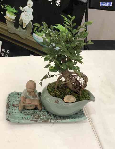 茶叶梗：能做养花土吗？图片展示与肥料效果探讨