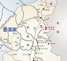 龙塘普洱茶：产区、介绍、口感与图片全解析