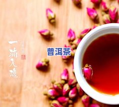 灵芝普洱茶配方及功效全解：作用、禁忌与食用建议