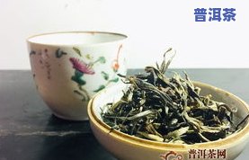 东半山普洱茶相关资料：生茶价格、茶叶特点与品质评价