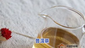 普洱茶正确打开-普洱茶正确打开方法