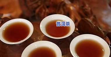 '下关普洱茶8853官方旗舰店，哪几款值得收藏？高端推荐！'