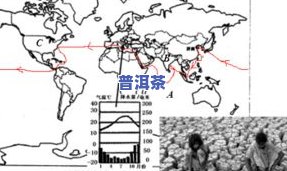 探究普洱茶地理气候特点及其优越地理位置的优势与特征