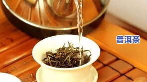 顶级普洱茶，探索茶叶世界的瑰宝：顶级普洱茶推荐