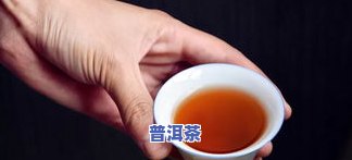 探究普洱茶在长达30-50天发酵过程中的变化及是否适合饮用