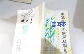 普洱茶小诗-普洱茶诗词