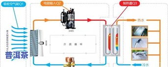 普洱茶发酵：含义、作用及原理全解析